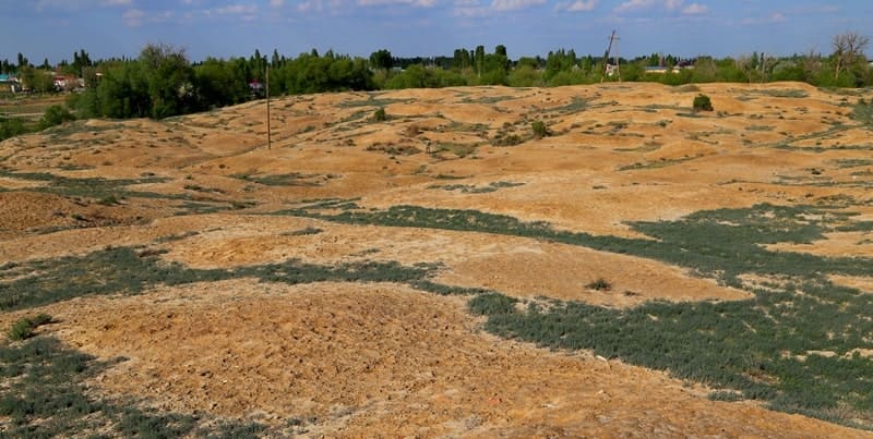 Medieval Sozak settlement. 2024.
