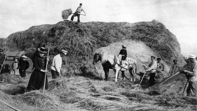 Mennonite missionary. Aulie-Ata district.