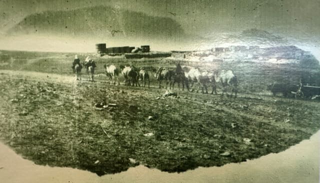 Picket between Zhosaly station and Karsakbay village.