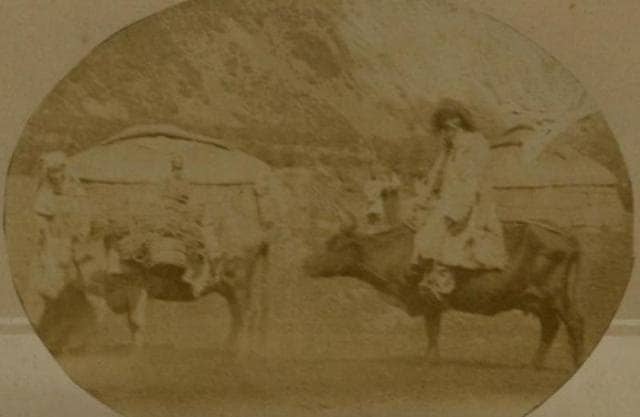 Перекочевка. Фотография Л. К. Полторацкой. 1870-е годы.