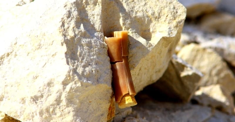 Геологическое образование или окаменелость, найденная в меловых отложениях плато Актолагай. Объект имеет характерный коричневый оттенок и состоит из сегментированных частей, он находится в окружении светлых известняковых или меловых пород. Плато Актолагай известно своими уникальными меловыми фигурами и является объектом палеонтологического туризма. Подобные находки могут представлять собой конкреции или окаменелые останки древних организмов.