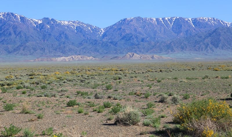 Altyn-Emel is a real open-air museum.