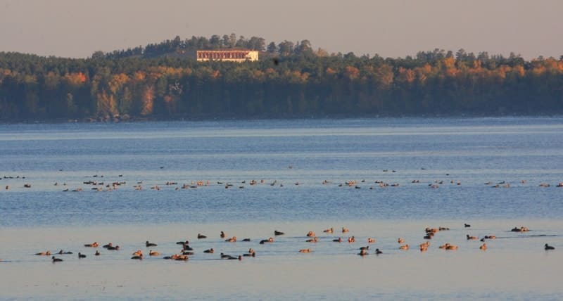 Landscape of Lake Burabay. Northern Akmola Region.