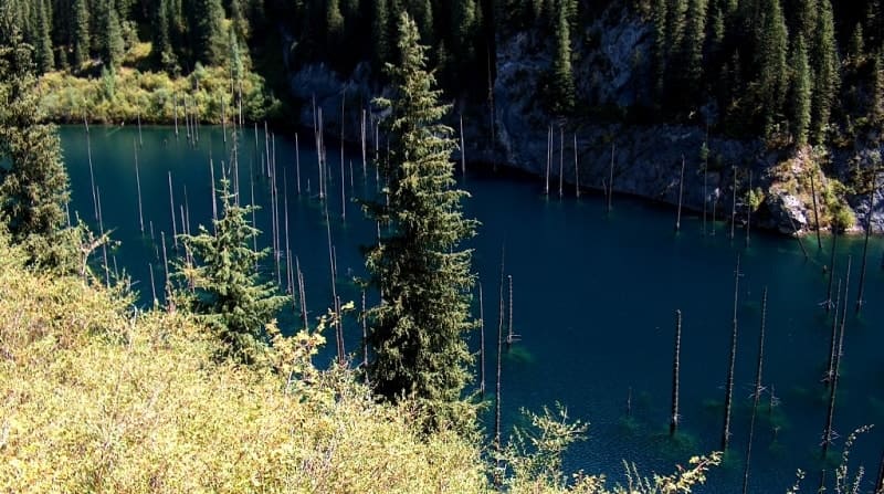 Lake Kaindy (Kazakh for "birch"), a flowing freshwater lake located at an altitude of 1867 meters above sea level, is situated on the northern slopes of the Kungey Alatau mountain range.