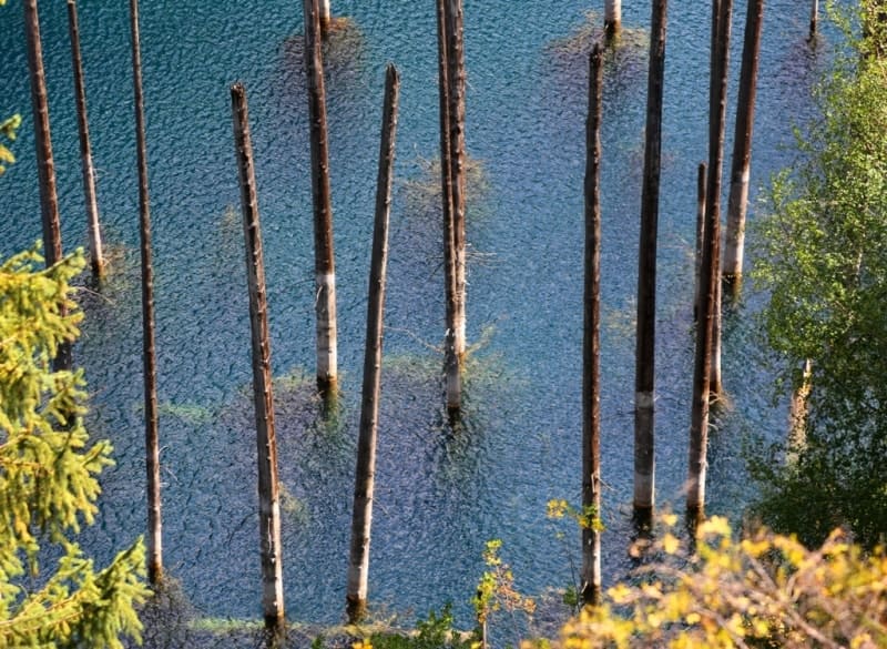 Turquoise surface of Lake Kaindy conceals a flooded forest beneath, and dried-out tree trunks rise above the water like thin candles. This fantastical landscape is the lake's signature feature and one of its most recognizable views.