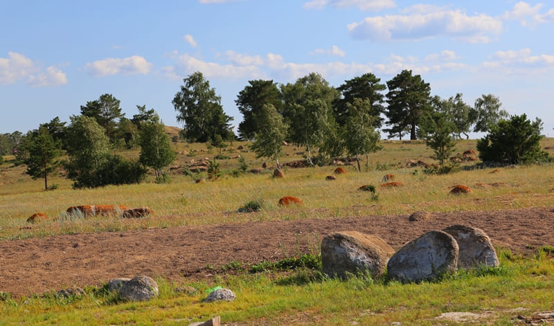 The unique Kumdykol microdiamond deposit and its host rocks, formed under ultra-high pressure, are a world-class geological attraction.