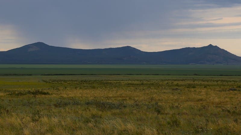 Rocky elevations are typically covered with pine forests. Devonian granites are particularly favorable for the development of forest ecosystems. This is explained by the peculiarities of their structure and microelement composition.