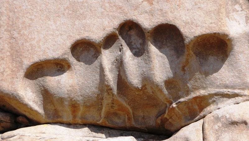 Весь комплекс состоит из уникальных каменных "лепестков" и замысловатых изгибов, созданных природой, что делает его похожим на инопланетный пейзаж.