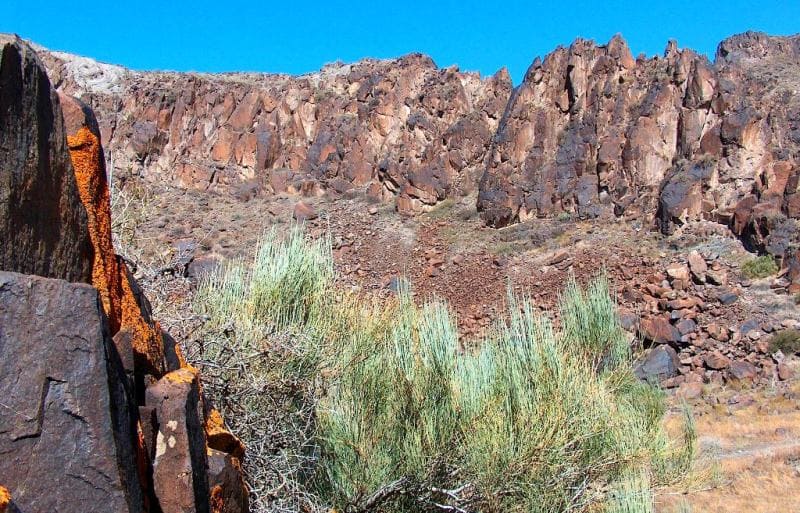 Ущелье Теректы-Сай в южной части хребта Алтын-Емель.