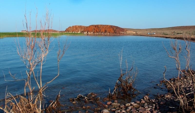 В северные берега озера, куда упирается Сарыарка, высокие, обрывистые берега с палеозойскими породами (граниты, порфириты сланцы, известняки). 