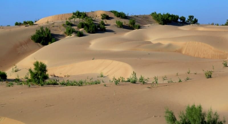 Most of the Bolshie Barsuki Sands are located in the Aktobe region, with only a small southeastern portion located in the Kyzylorda region.