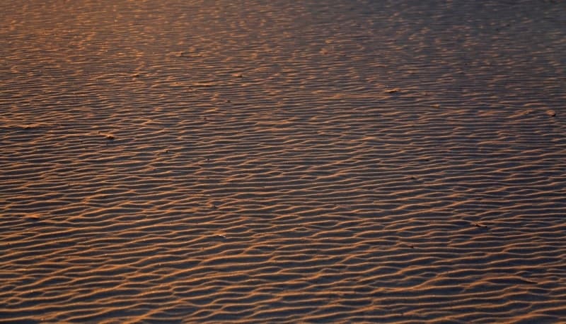 The sand massifs consist primarily of Paleogene sands, with alluvial deposits found only in the northwestern part of Bolshie Barsuki.