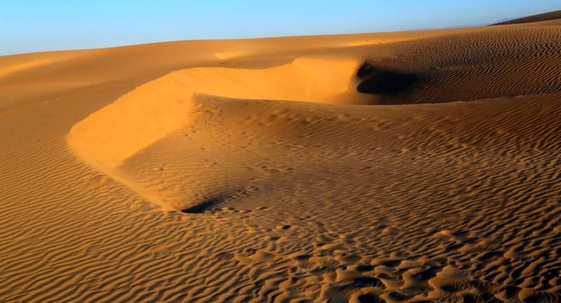 The climate in the Bolshie Barsuki Sands is sharply continental, with frosty, windy winters and hot, dry summers.