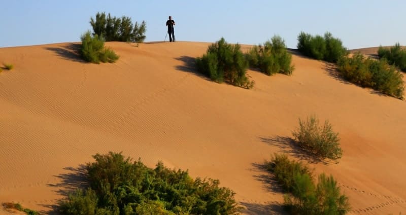 The Bolshie Barsuki Sands stretch from the northern end of the Great Aral Sea for 232 kilometers from south to northwest and then northeast.