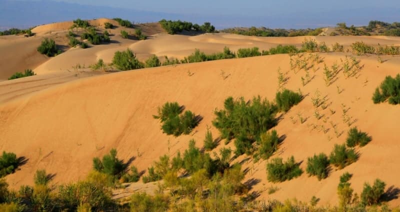 The Kyzylorda-Aktobe railway, 18 kilometers long, runs through the northern part of the sands, from southeast to northwest.