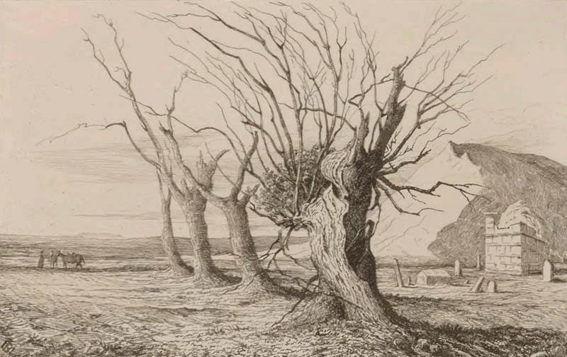 Drawing by Bronislav Zalessky.
