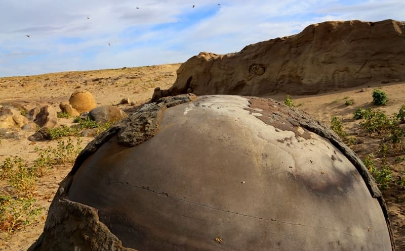 Каменная шаровая конкреция на месторождении Мунайлы-Мола.