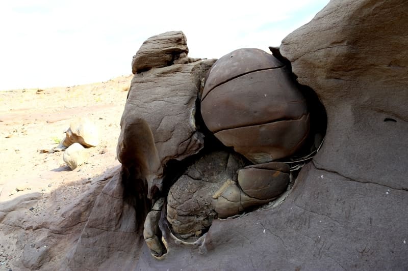 Шаровая конкреция вкраплена в спрессованный песок на месторождении Мунайлы-Мола.