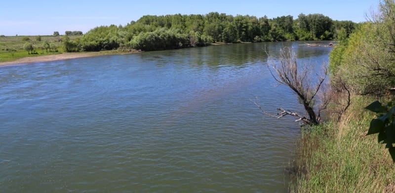 Река Курчум расположена на высоте от 395 (устье) до 2592 (истоки) м. н. у. м.