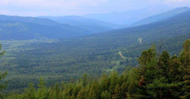 Долина реки Уба. Вид с тропы между Коксинским кордоном и урочищем Линейские столбы.