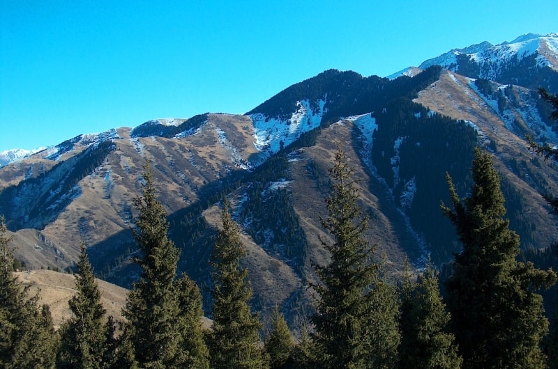 Environs of the Aksai monastery.