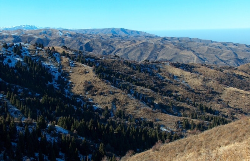 North view from the Aksai monastery.