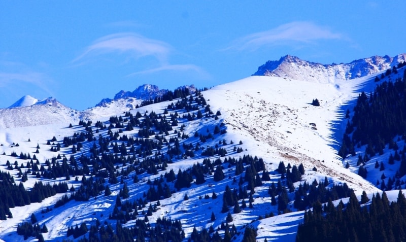 Environs of the Aksai gorge.