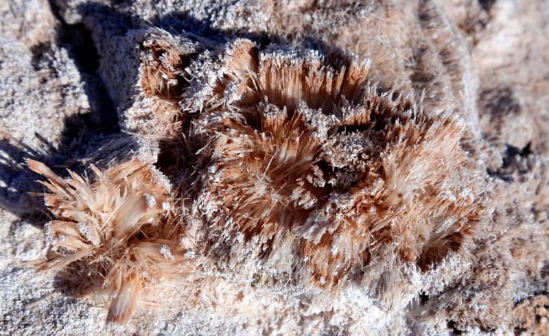 Бугры пучения, могут образовываться в результате других геологических процессов, в частности, из-за скопления газа или гипса. 