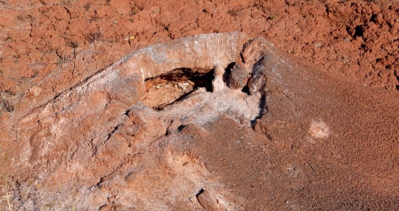 Так, у многих тюркоязычных народов пинго-булгунняхи носят название «тебелеров» (от тюрк. - «холм», «макушка», «вершина»).