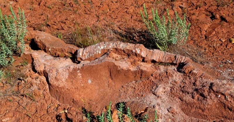 И пинго, и булгунняхи, и туфуры (небольшие бугры пучения) формировались за счёт выдавливания деятельного слоя водами, находящимися под большим давлением между верхней границей и нижней границей слоя.