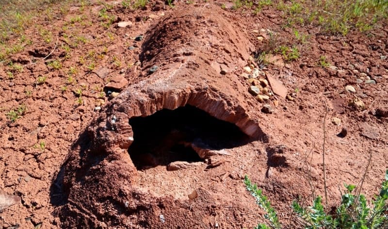 В СНГ при уточнении генезиса бугров пучения применяют термин «булгуннях» (от якут. булгунньах - «холм», «вершина», «курган»), являющийся синонимом пинго.