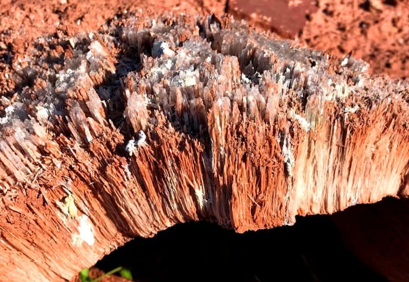 Средняя глубина озера Ащыколь 3 метра, наибольшая глубина озера 4 метра.