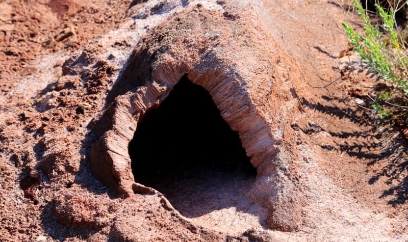 Биогенный газ, образующийся в болотистых условиях, или глубинный газ из залежей может накапливаться под слоем непроницаемого грунта. 