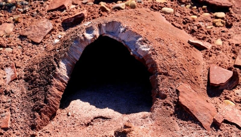 Гипсовые кристаллические коры или "бугры пучения" находятся на северном берегу горько-соленого, бессточного озера Ащиколь.