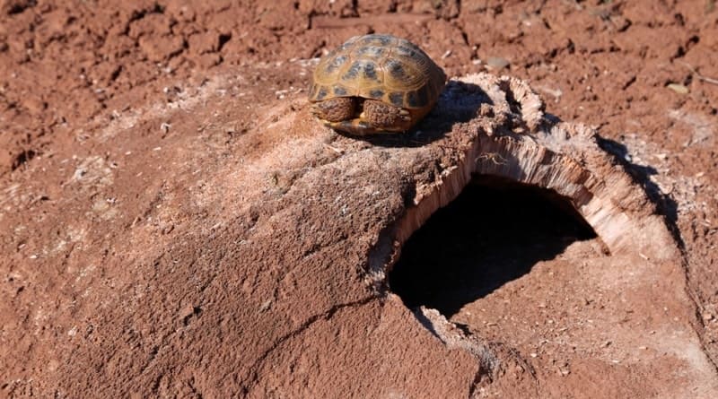 Бугры пучения на озере Ащиколь находятся в 18 километрах на северо-запад от административного центра Таласского района села Акколь.