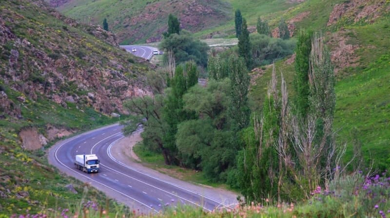Lombardy poplars and elms grow along the road before the Kordai Pass. 