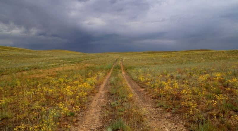 The Zhusandaly Steppe stretches from southeast to northwest for 164 kilometers, with its greatest width in the northwestern part reaching 42 kilometers.