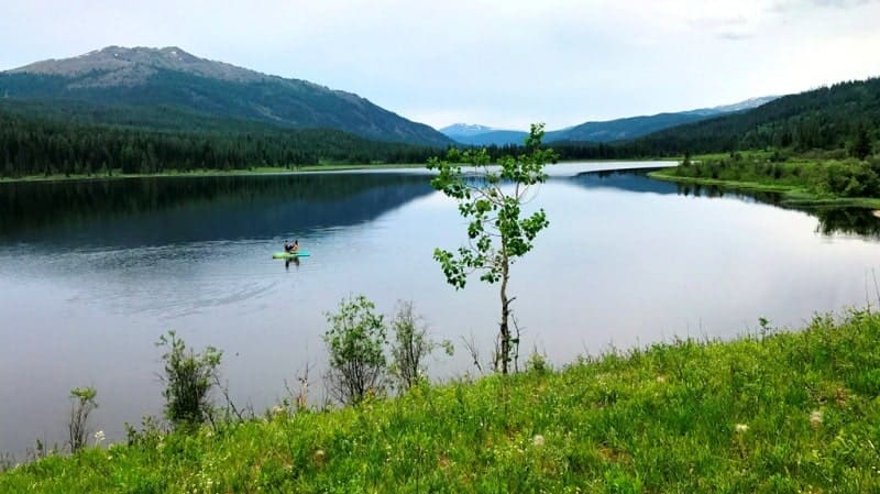 Lake Karakol (Yazevoye) located in the Katon-Karagay Nature Park. 04 Snow-covered Bergenia leaves.