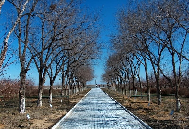 The avenue of astronauts at “Kosmonavt” hotel. Alexander Petrov photo.