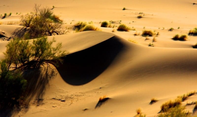 The surrounding sand massif consists of isolated dunes adjacent to the sand ridges.