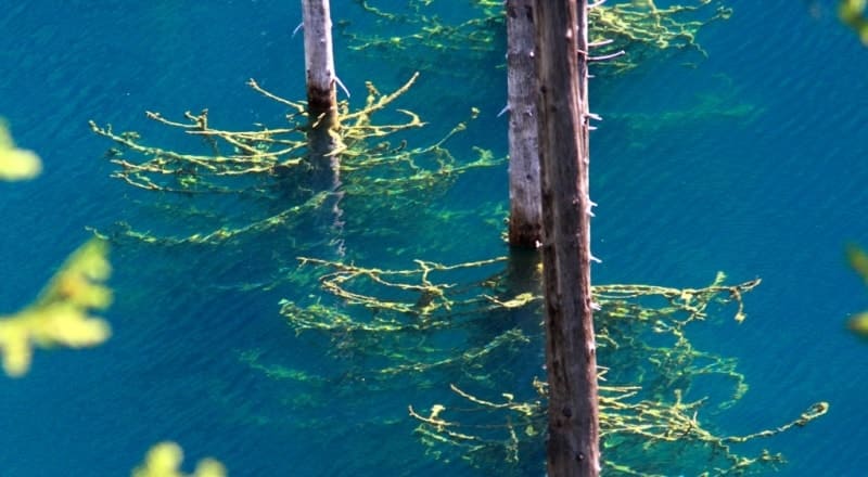 Озеро Каинды (каз. "берёзовая"), проточный пресный водоём, расположенный на высоте 1867 метров над уровнем моря, находится на северных склонах хребта Кунгей Алатау.