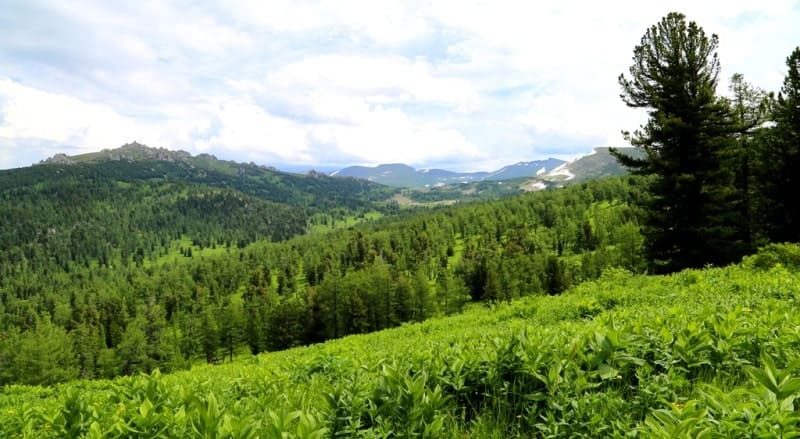 The Second Beloubinskoe lake is located in the high mountainous part of Altai, between the eastern spurs of the Ivanovsky ridge and the western slopes of the Koksuysky ridge.