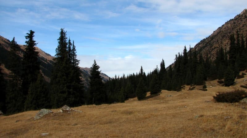 In Arasan gorge. Northern slope of Terskey Ala-Too ridge.