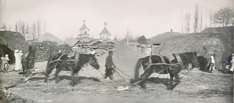 Threshing grain with horses against the background of the church. Early XXth century. The author of the photo is unknown.