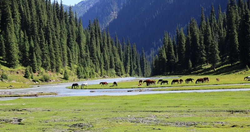 Река Каракол протекает по одноименному ущелью, находится в восточной части Иссык-Кульской котловины.