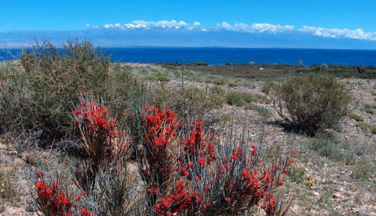 In mid-June 1857, P.P. Semenov-Tyan-Shansky's detachment made camp at the site where the "Blue Issyk-Kul" sanatorium is now located.