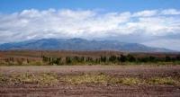 Mountains in the north of the Ferghana Valley.