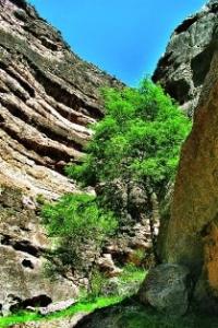 Daray-dere gorge.