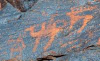 The image of camel with the horseman and deer. Petroglyphs Taigak.