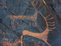 Saks petroglyphs Dardamty.